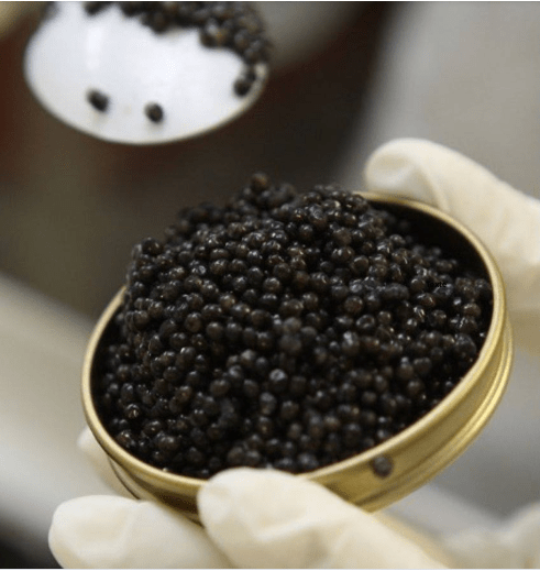 Caviar - Gourmet de Paris : French Food