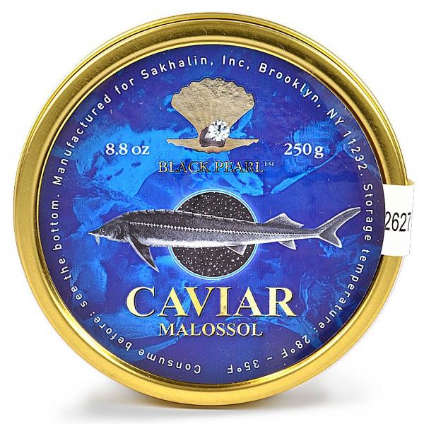 (STOCK AVAILABLE, CONTACT US TO ORDER) Frozen Caviar Hybrid 2 sturgeons (multiple sizing) - Kaluga Queen